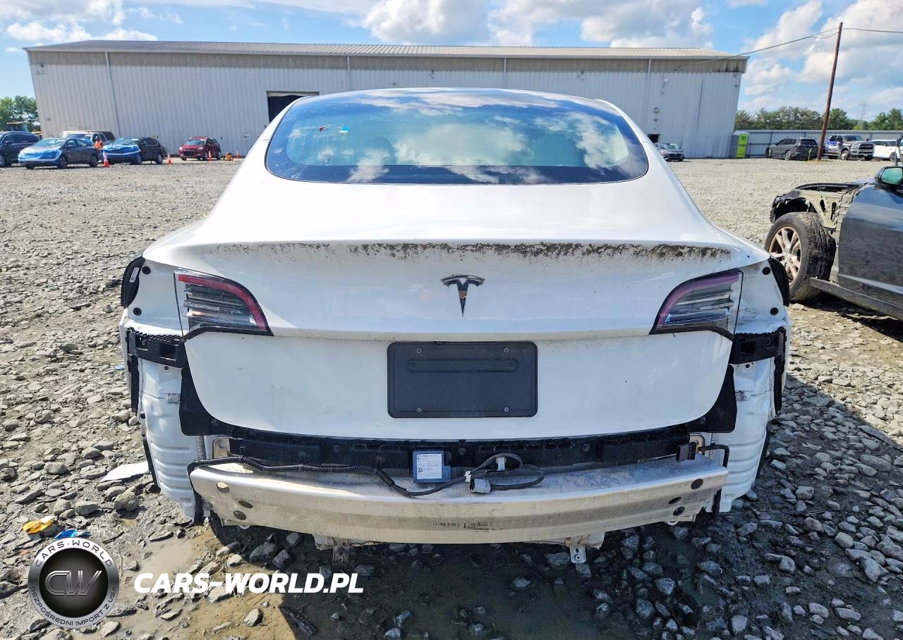 2020 Tesla Model 3 Standard Range Plus Rear-Wheel Drive-Standard Range Rear-Wheel Drive VIN:5YJ3E1EA7LF793311 - 6