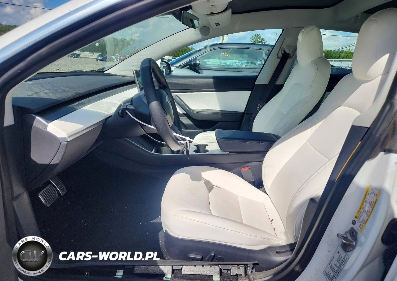 2020 Tesla Model 3 Standard Range Plus Rear-Wheel Drive-Standard Range Rear-Wheel Drive VIN:5YJ3E1EA7LF793311 - 7