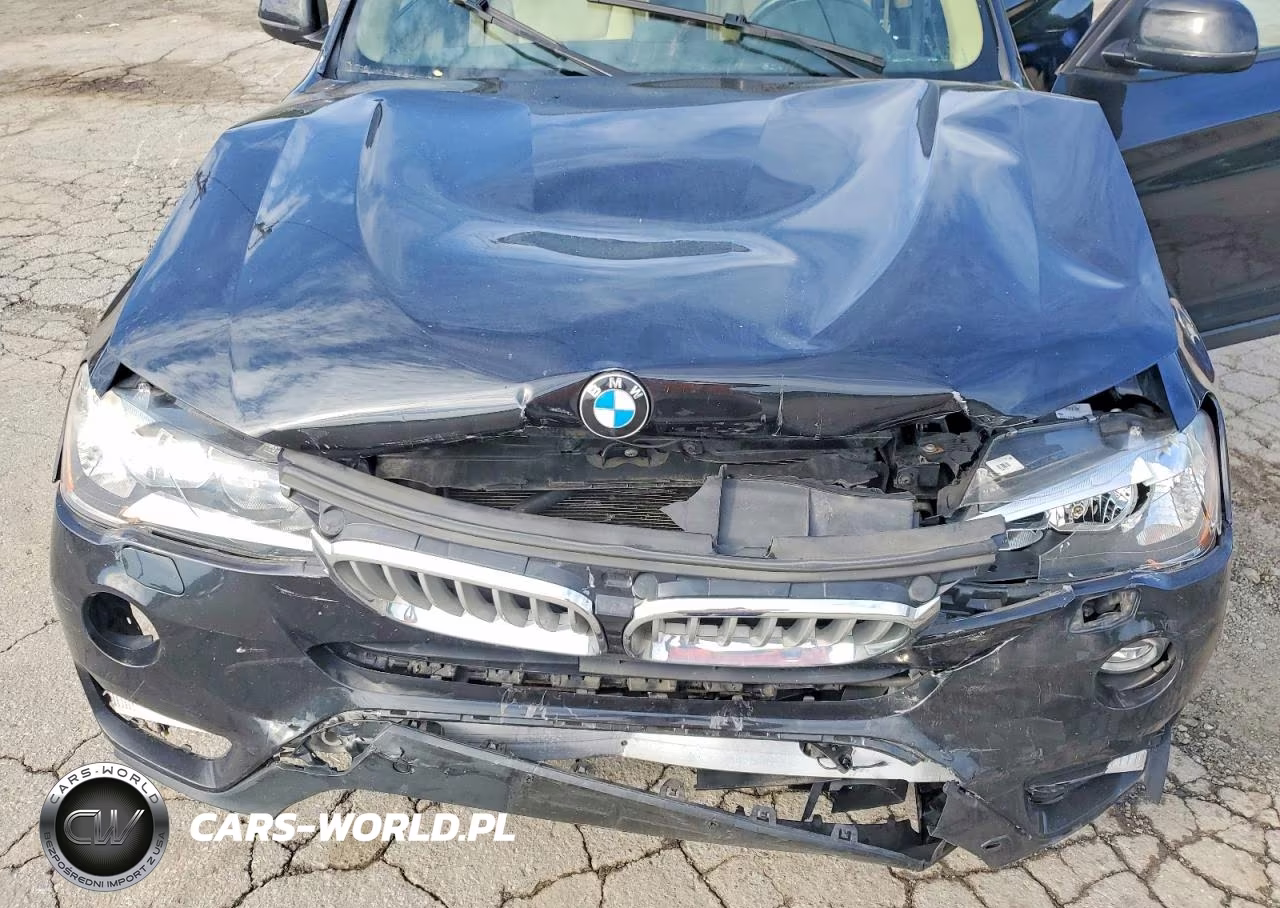 2017 BMW X3 xDrive28I VIN:5UXWX9C30H0W76619 - 12
