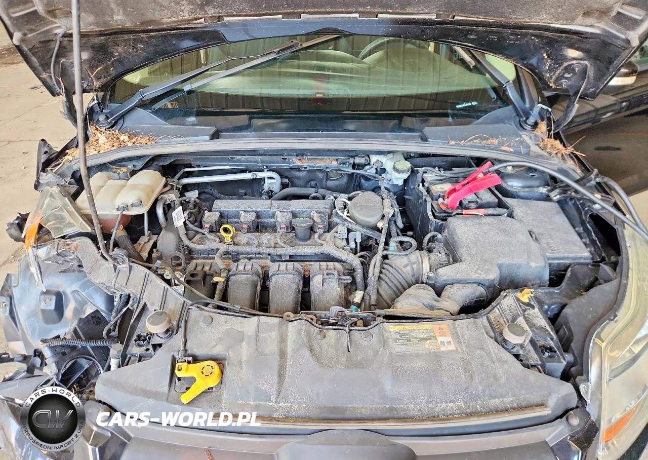 2014 Ford Focus Se VIN:1FADP3F2XEL160227 - 11