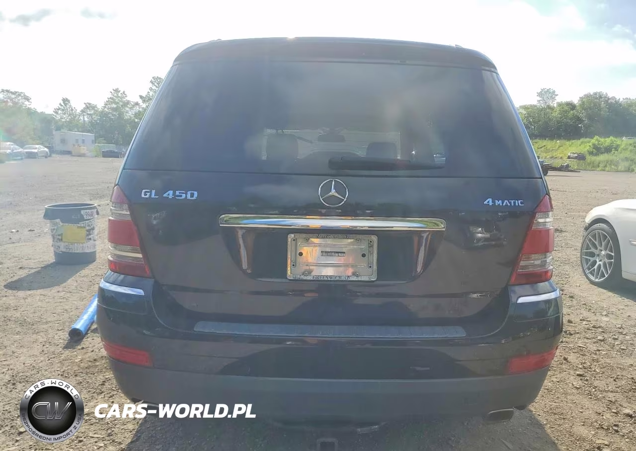 2009 Mercedes-Benz Gl 450 4Matic VIN:4JGBF71E19A472415 - 6