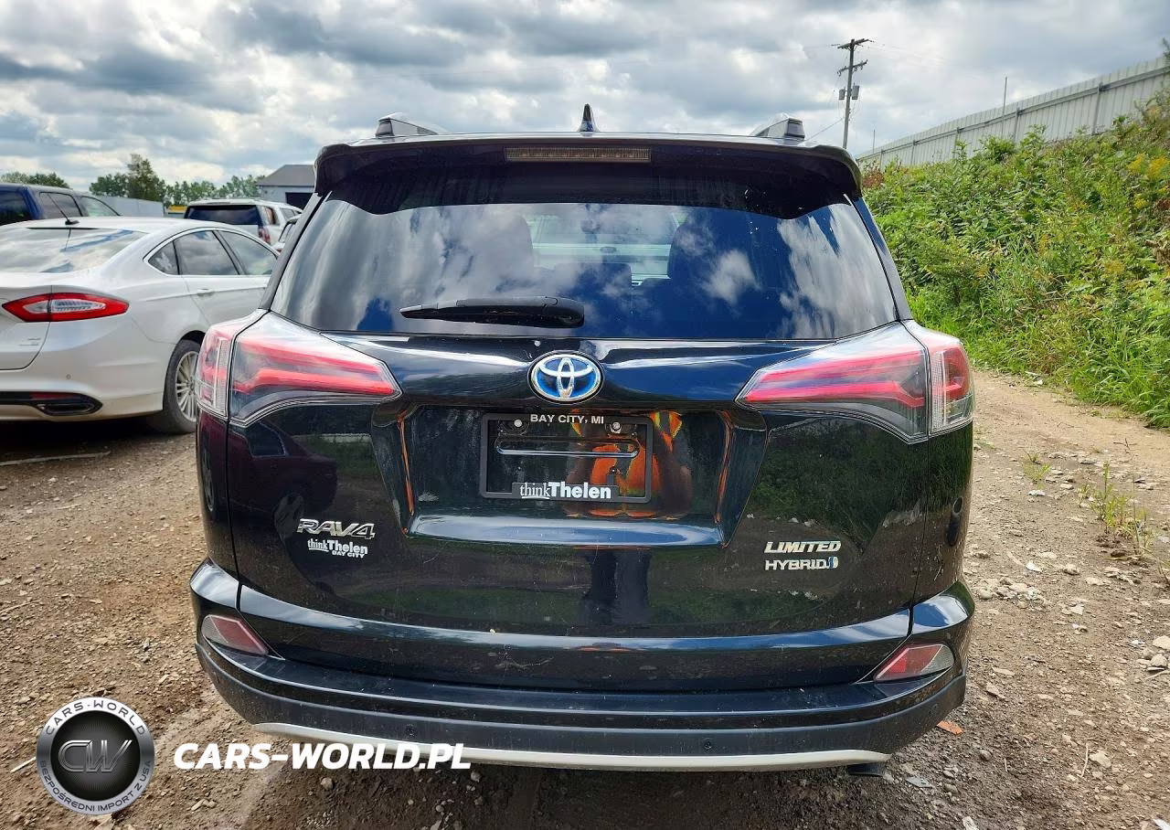 2016 Toyota Rav4 Hv Limited VIN:JTMDJREV9GD031418 - 6