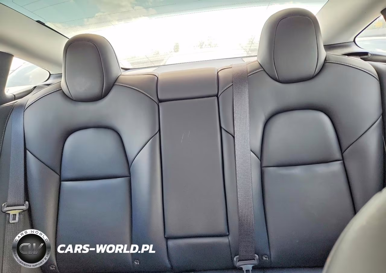 2021 Tesla Model 3 VIN:5YJ3E1EA8MF100280 - 10