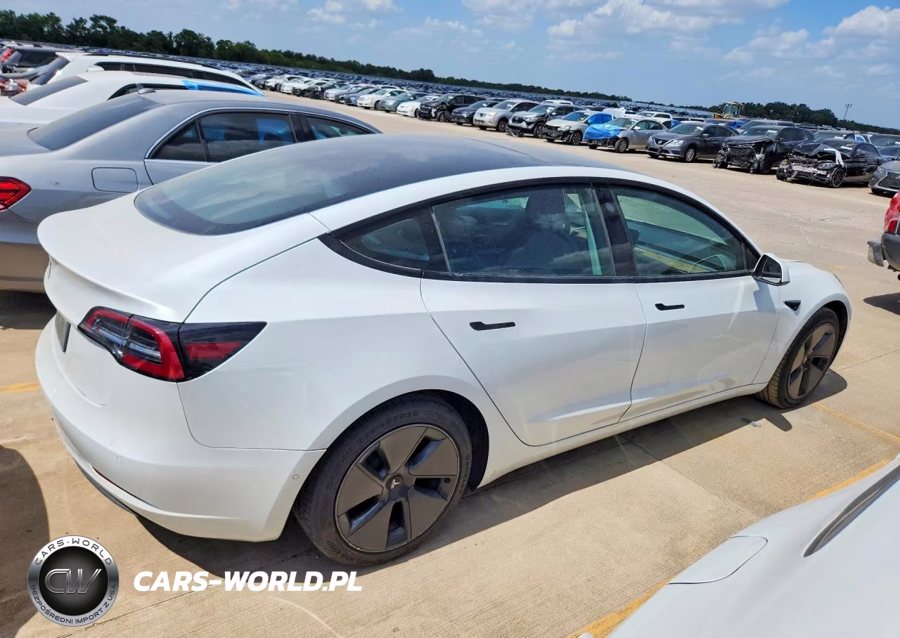 2021 Tesla Model 3 VIN:5YJ3E1EA8MF100280 - 3