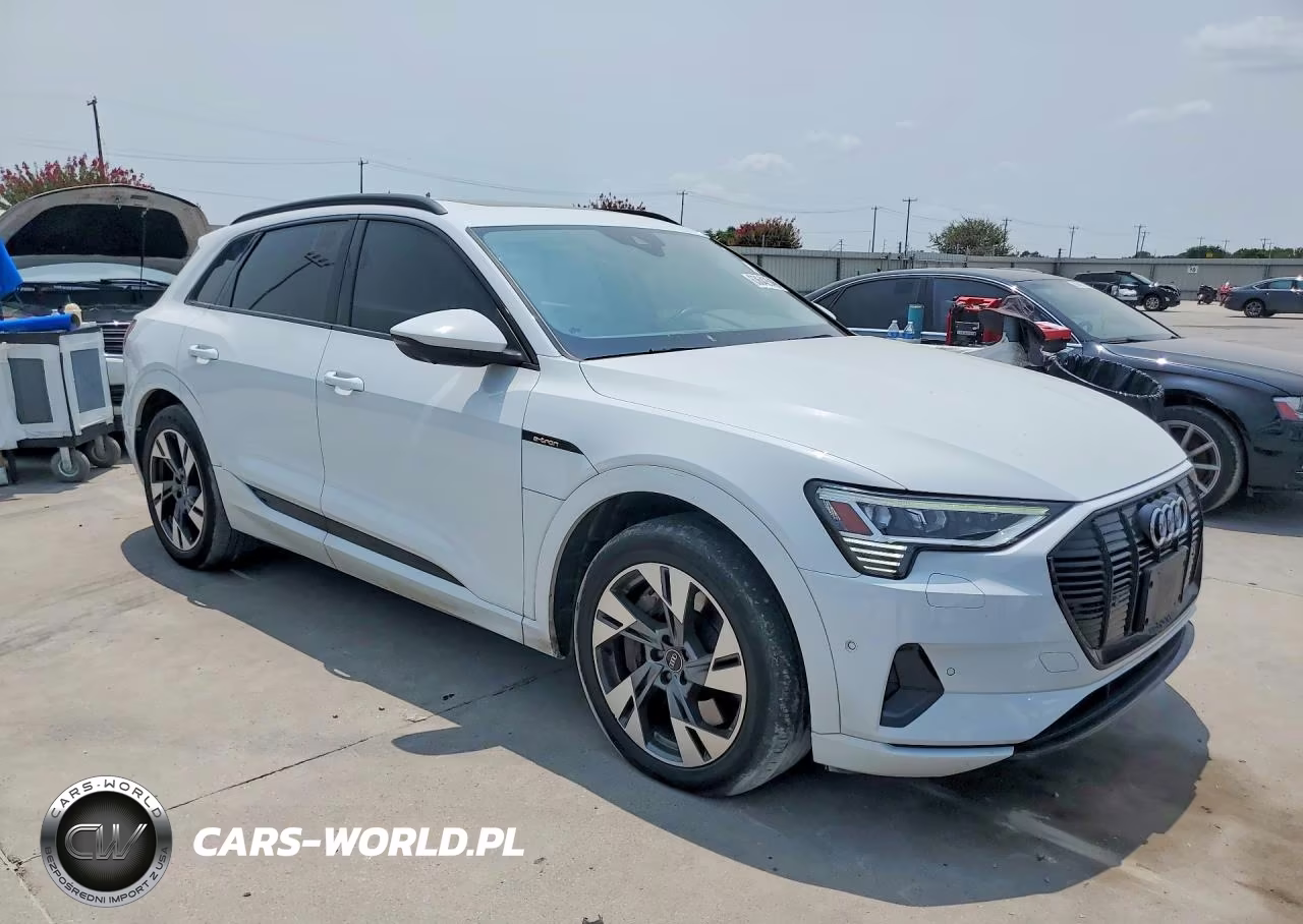 2022 Audi E-Tron Premium VIN:WA1AAAGEXNB007777 - 4