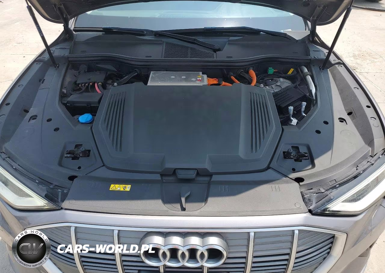 2021 Audi E-Tron Premium VIN:WA1AAAGE8MB020428 - 11