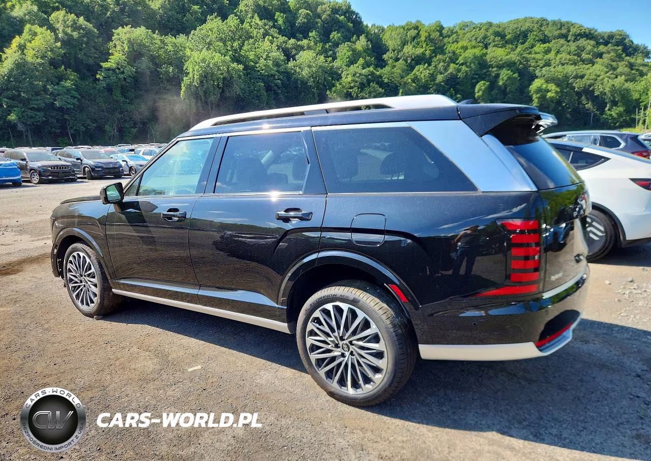 2026 Hyundai Palisade VIN:KM8RM5SA8TU046960 - 2