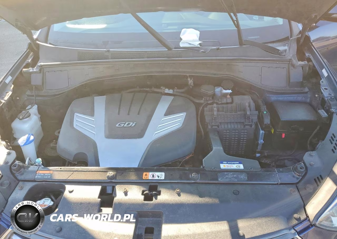 2017 Hyundai Santa Fe Se Ultimate VIN:KM8SRDHF3HU207593 - 12