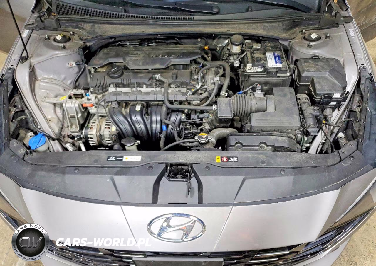 2021 Hyundai Elantra Limited VIN:KMHLP4AG0MU114053 - 11