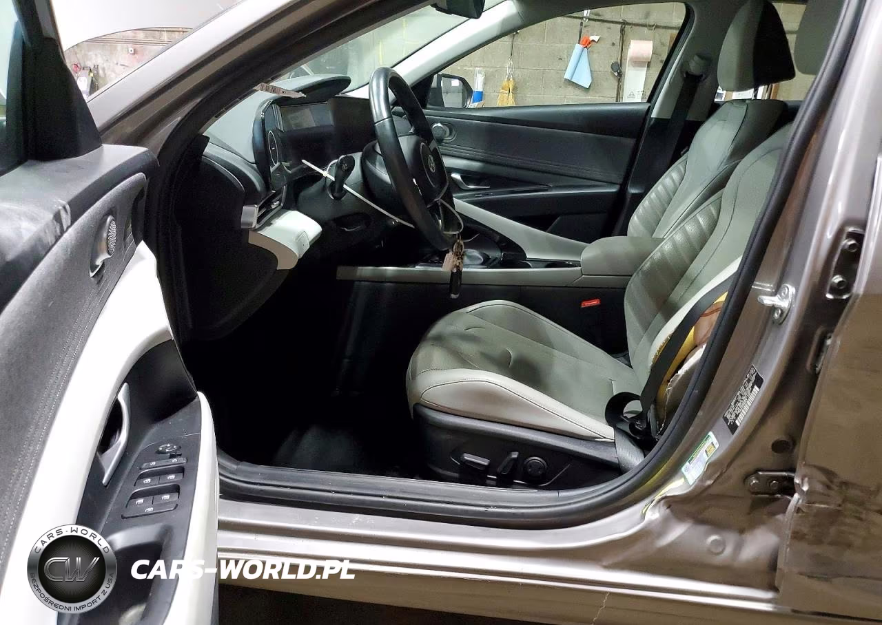 2021 Hyundai Elantra Limited VIN:KMHLP4AG0MU114053 - 7