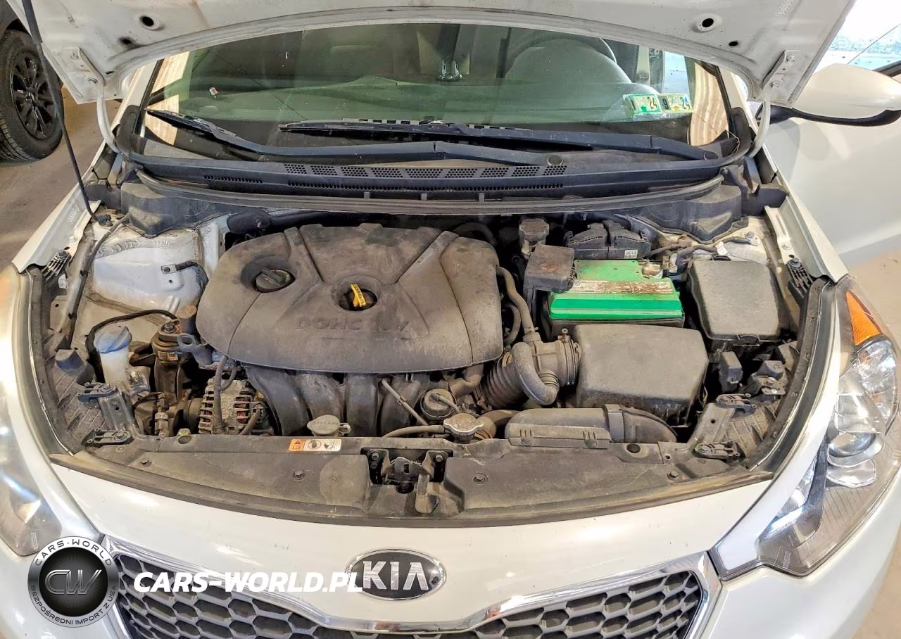 2015 Kia Forte Lx VIN:KNAFK4A69F5422548 - 11