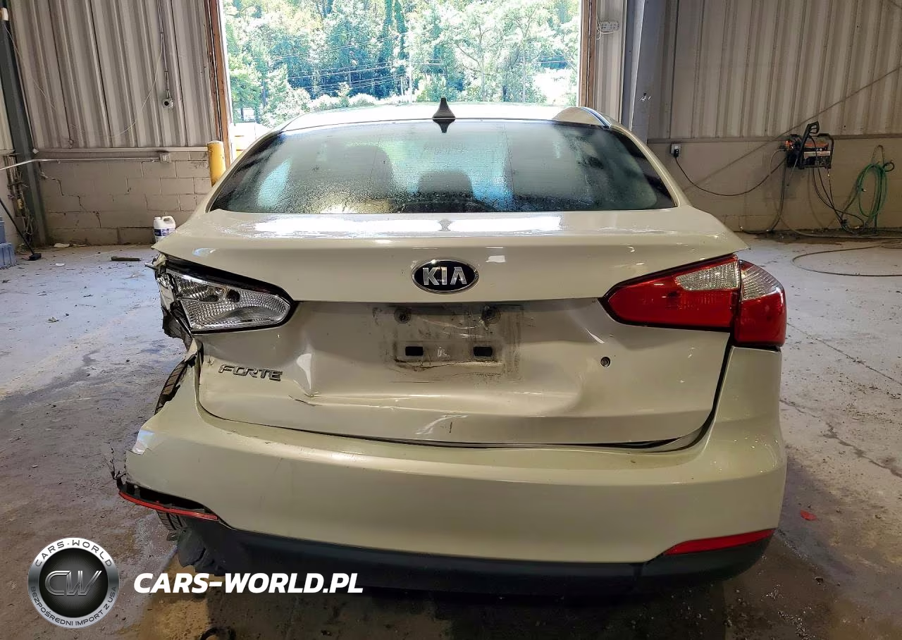 2015 Kia Forte Lx VIN:KNAFK4A69F5422548 - 6