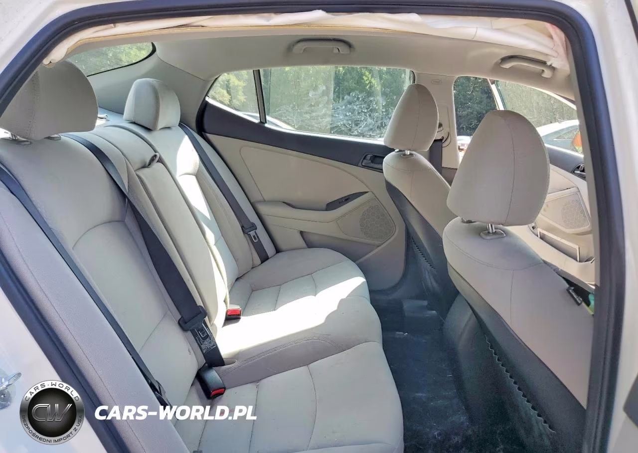 2015 Kia Optima Lx VIN:KNAGM4A70F5630969 - 10