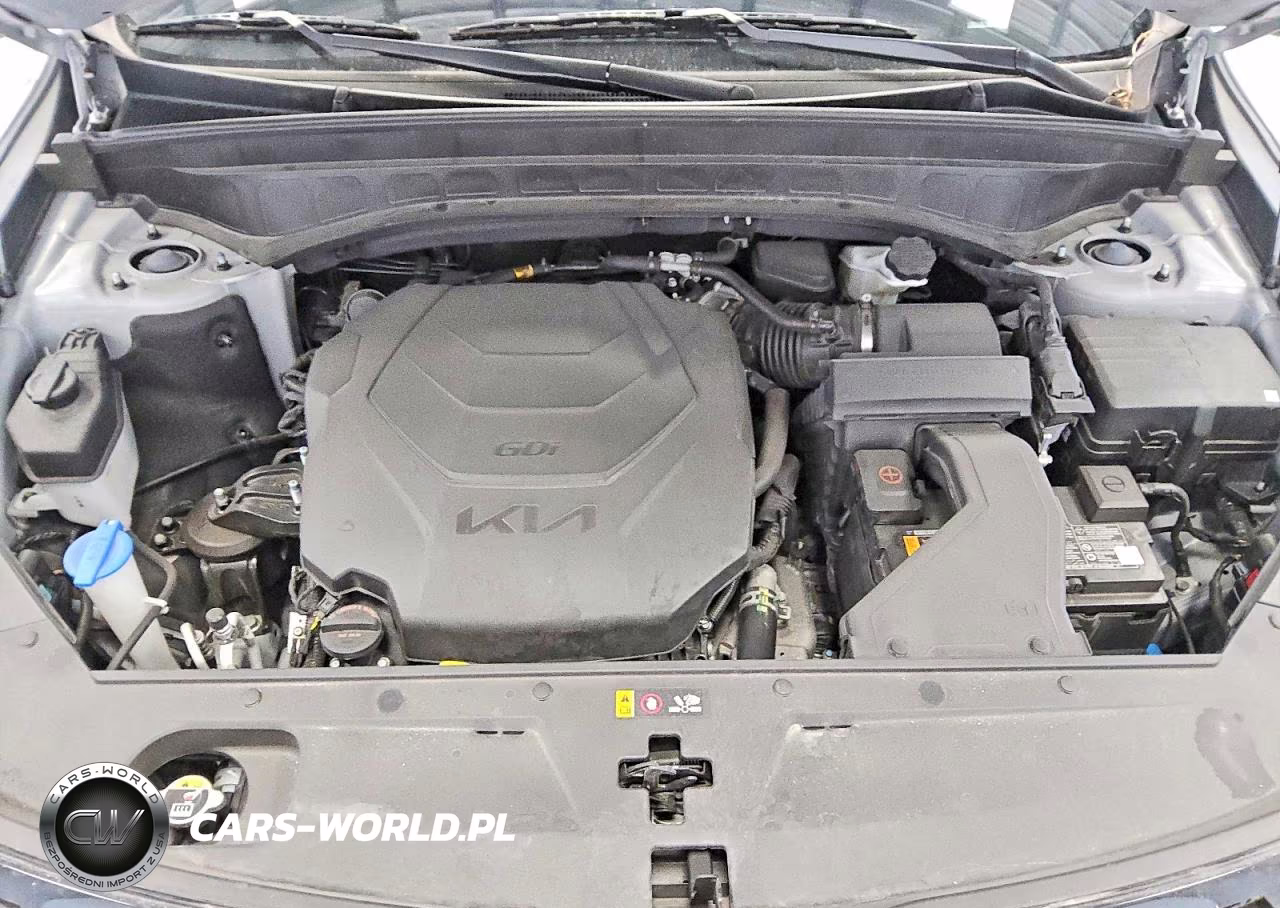 2025 Kia Telluride Ex X-Line VIN:5XYP3DGC6SG603657 - 12