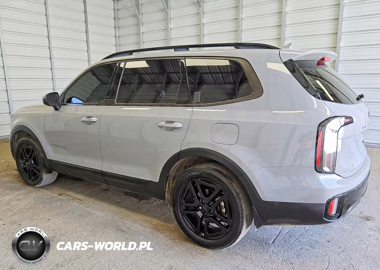 2025 Kia Telluride Ex X-Line VIN:5XYP3DGC6SG603657 - 2