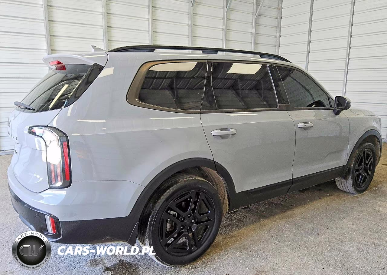 2025 Kia Telluride Ex X-Line VIN:5XYP3DGC6SG603657 - 3