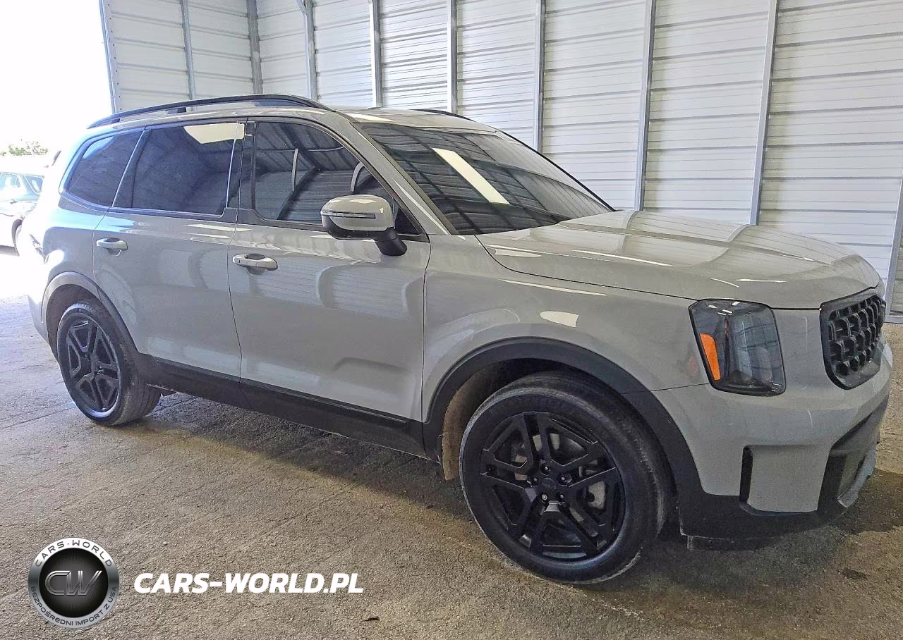 2025 Kia Telluride Ex X-Line VIN:5XYP3DGC6SG603657 - 4