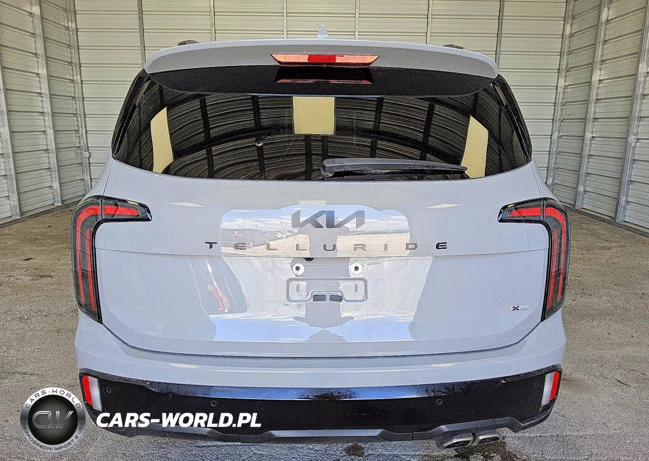 2025 Kia Telluride Ex X-Line VIN:5XYP3DGC6SG603657 - 6