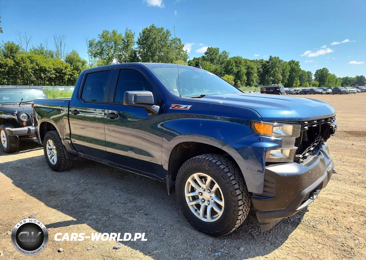 2019 Chevrolet Silverado K1500 VIN:1GCPYAEH7KZ420784 - 4