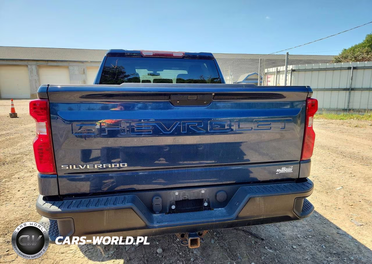 2019 Chevrolet Silverado K1500 VIN:1GCPYAEH7KZ420784 - 6