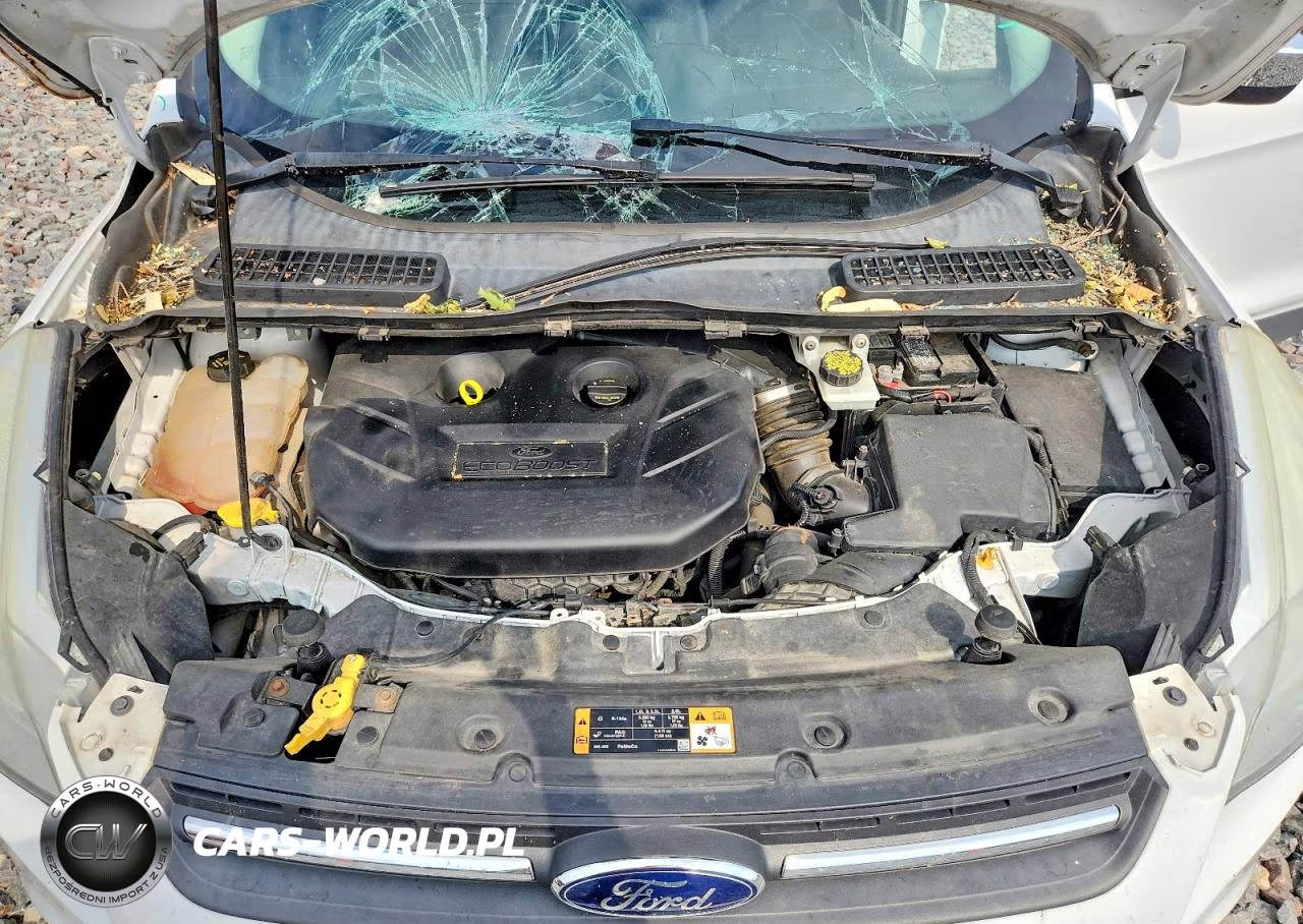 2015 Ford Escape Se VIN:1FMCU9G99FUB11282 - 12
