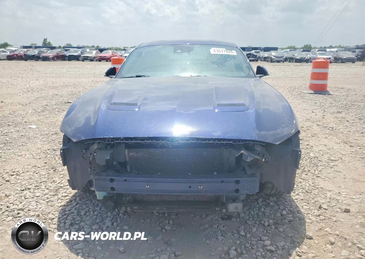 2019 Ford Mustang Gt VIN:1FA6P8CF7K5204780 - 5