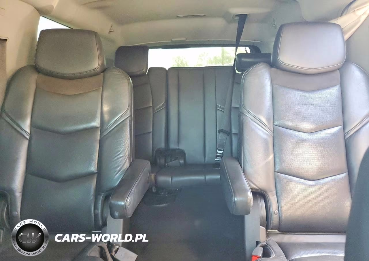 2020 Cadillac Escalade Esv VIN:1GYS3GKJ8LR233116 - 10
