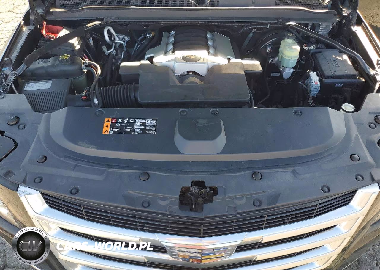 2020 Cadillac Escalade Esv VIN:1GYS3GKJ8LR233116 - 12
