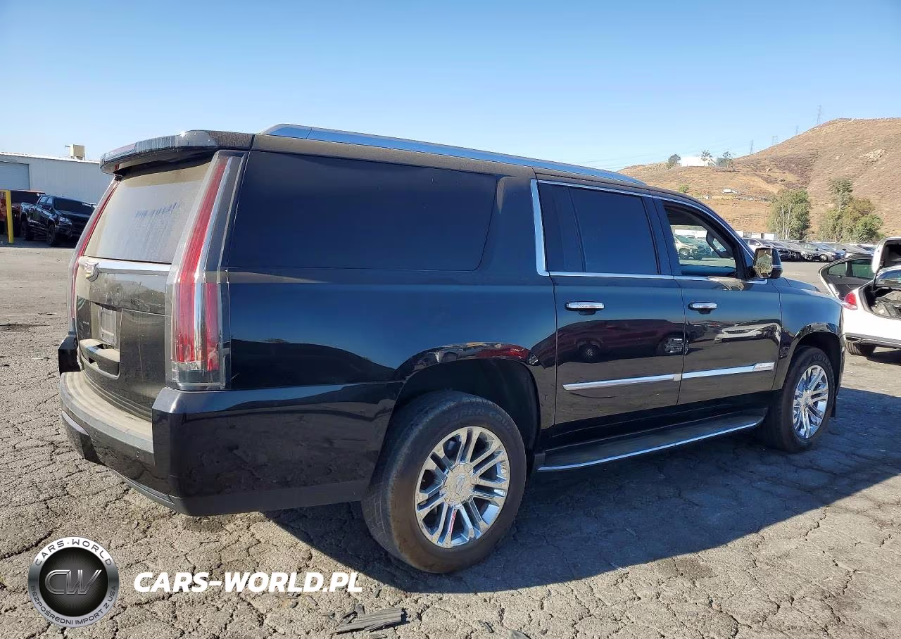 2020 Cadillac Escalade Esv VIN:1GYS3GKJ8LR233116 - 3