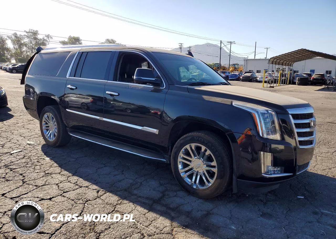 2020 Cadillac Escalade Esv VIN:1GYS3GKJ8LR233116 - 4