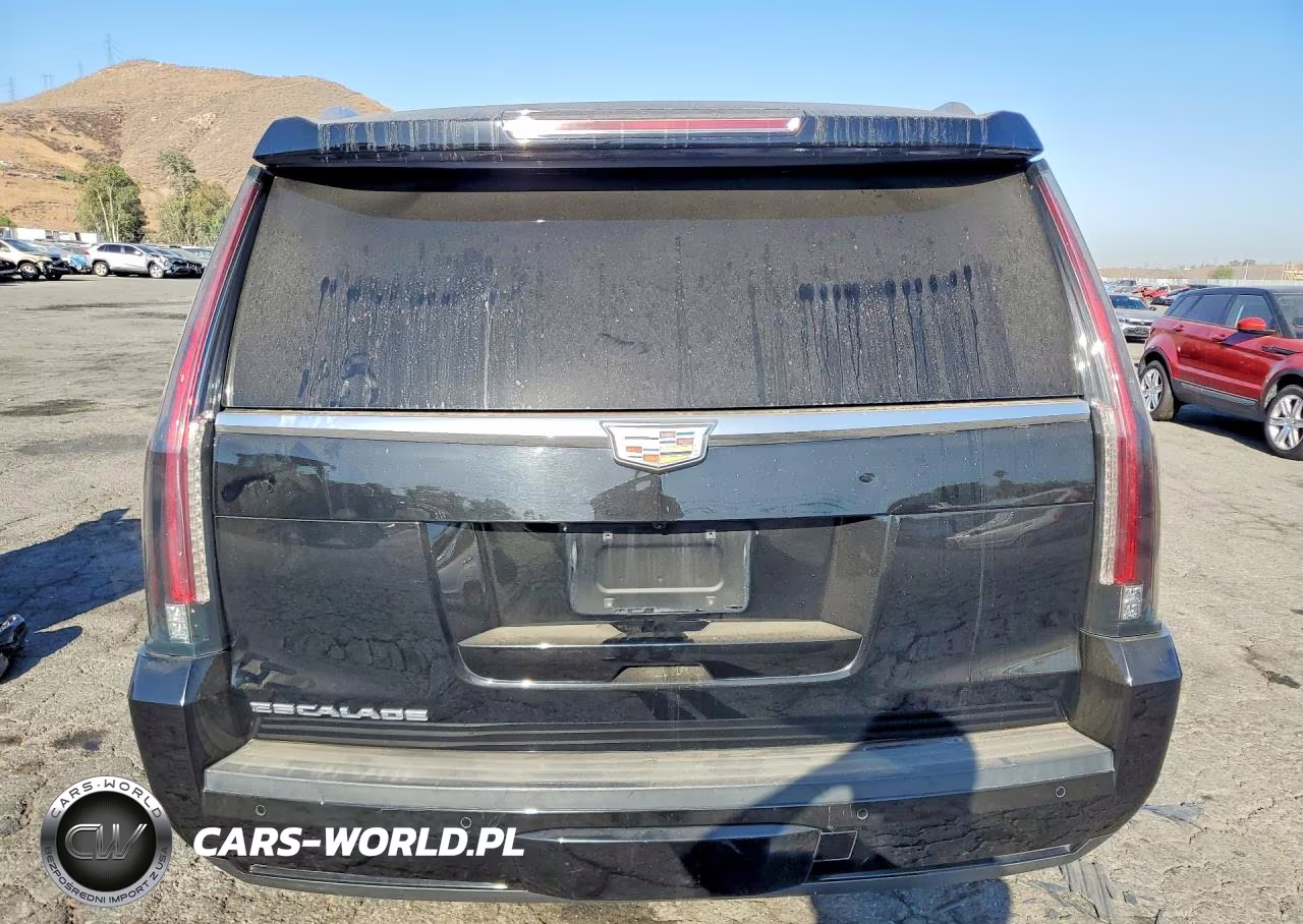 2020 Cadillac Escalade Esv VIN:1GYS3GKJ8LR233116 - 6