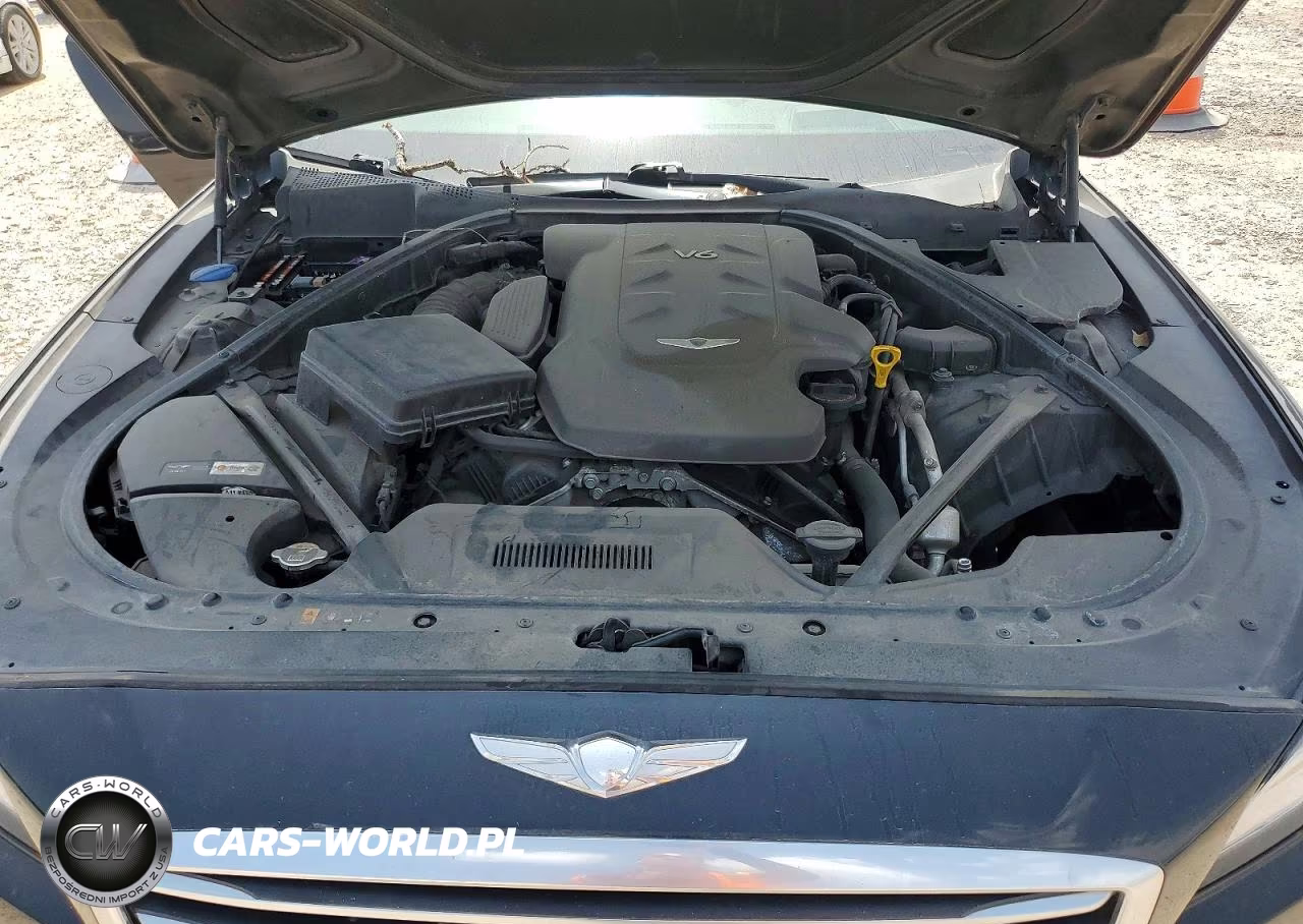 2017 Genesis G80 3.8 VIN:KMHGN4JE6HU206893 - 11