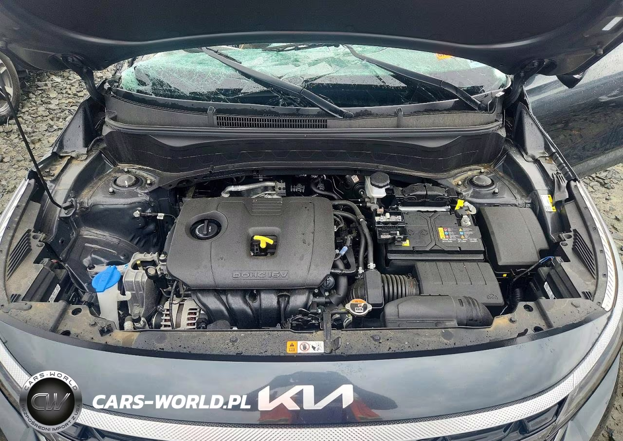 2025 Kia Seltos Ex VIN:KNDERCAA7S7730342 - 11