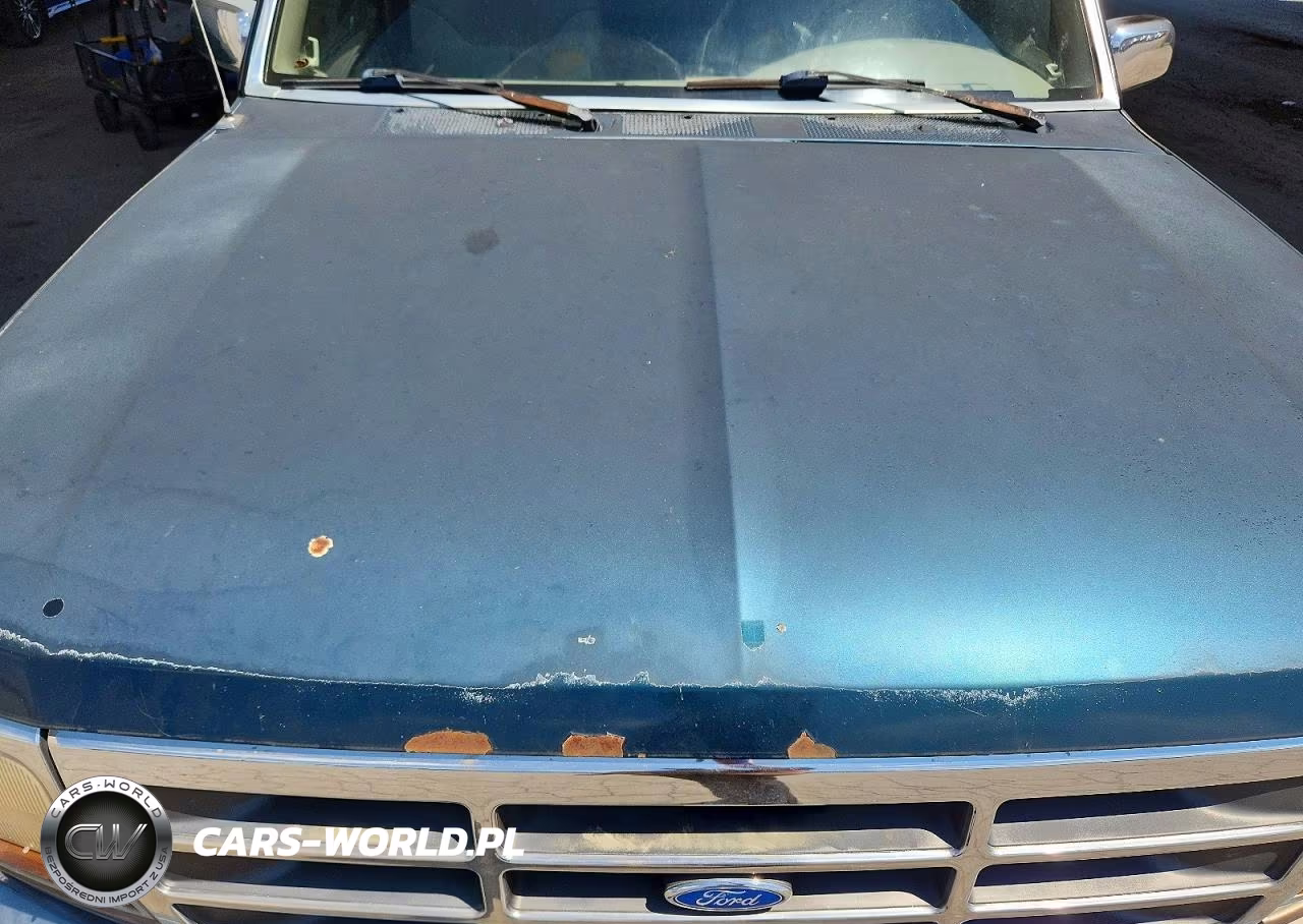 1995 Ford F150 VIN:1FTEX14HXSKB22394 - 11