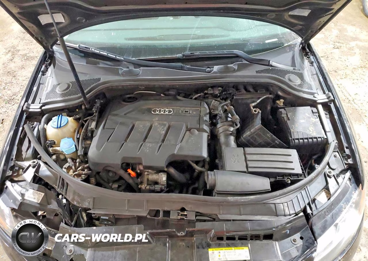 2013 Audi A3 Premium VIN:WAUBJAFM1DA011396 - 12