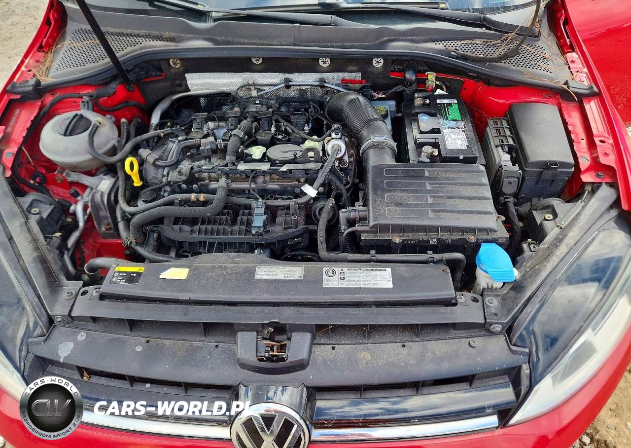 2015 Volkswagen Golf VIN:3VW217AU8FM014005 - 12