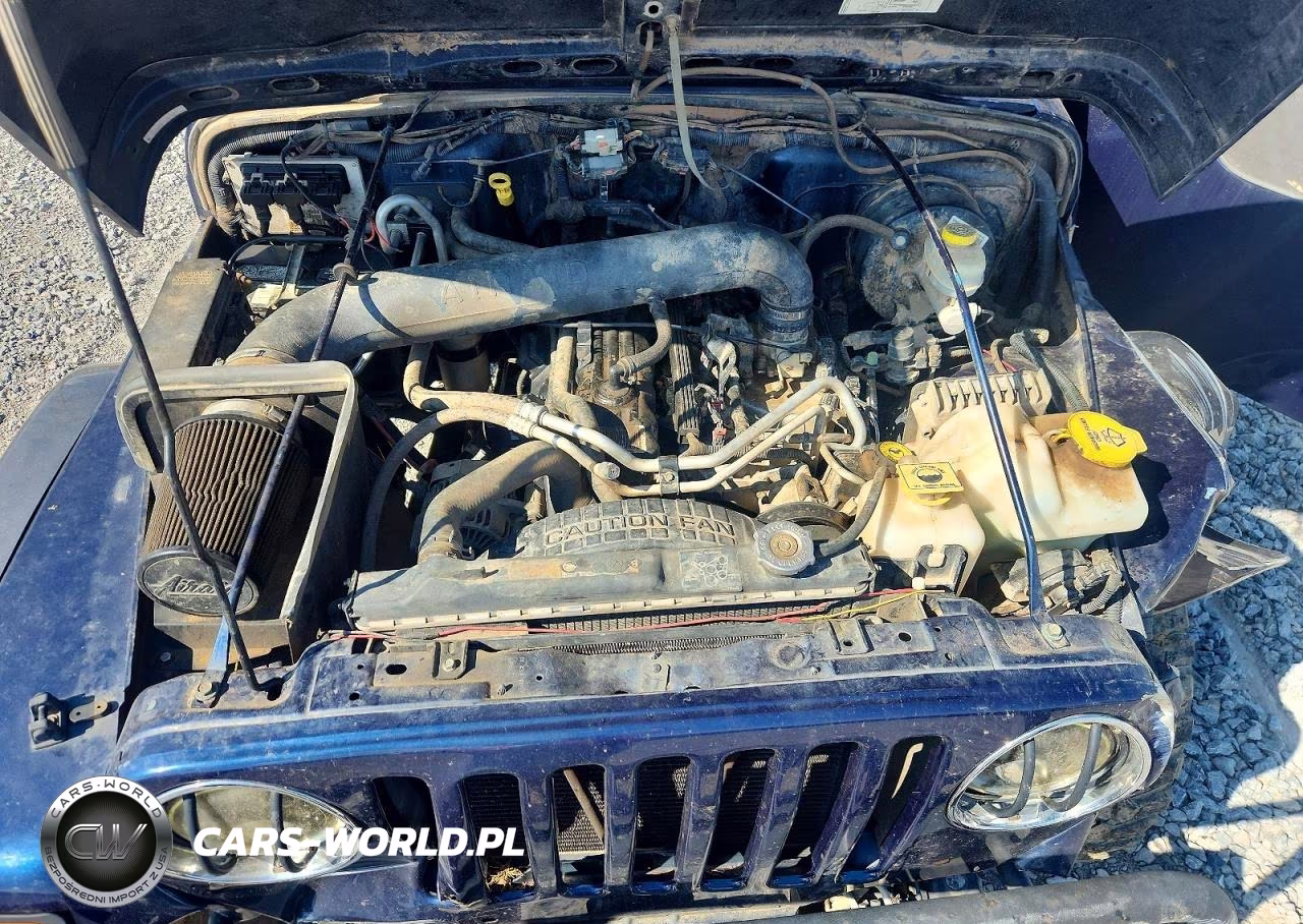 2004 Jeep Wrangler X VIN:1J4FA39S94P798017 - 11