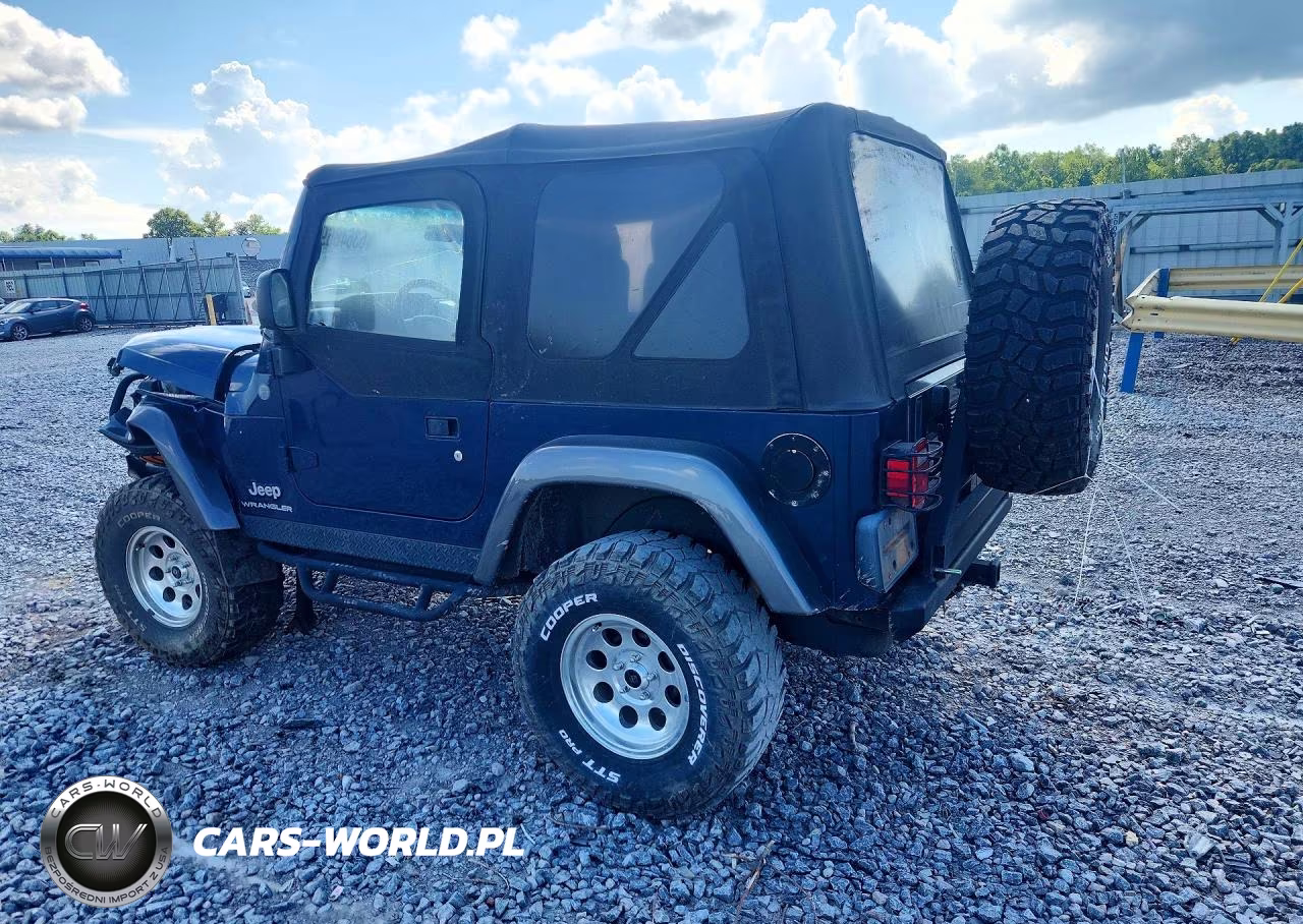 2004 Jeep Wrangler X VIN:1J4FA39S94P798017 - 2