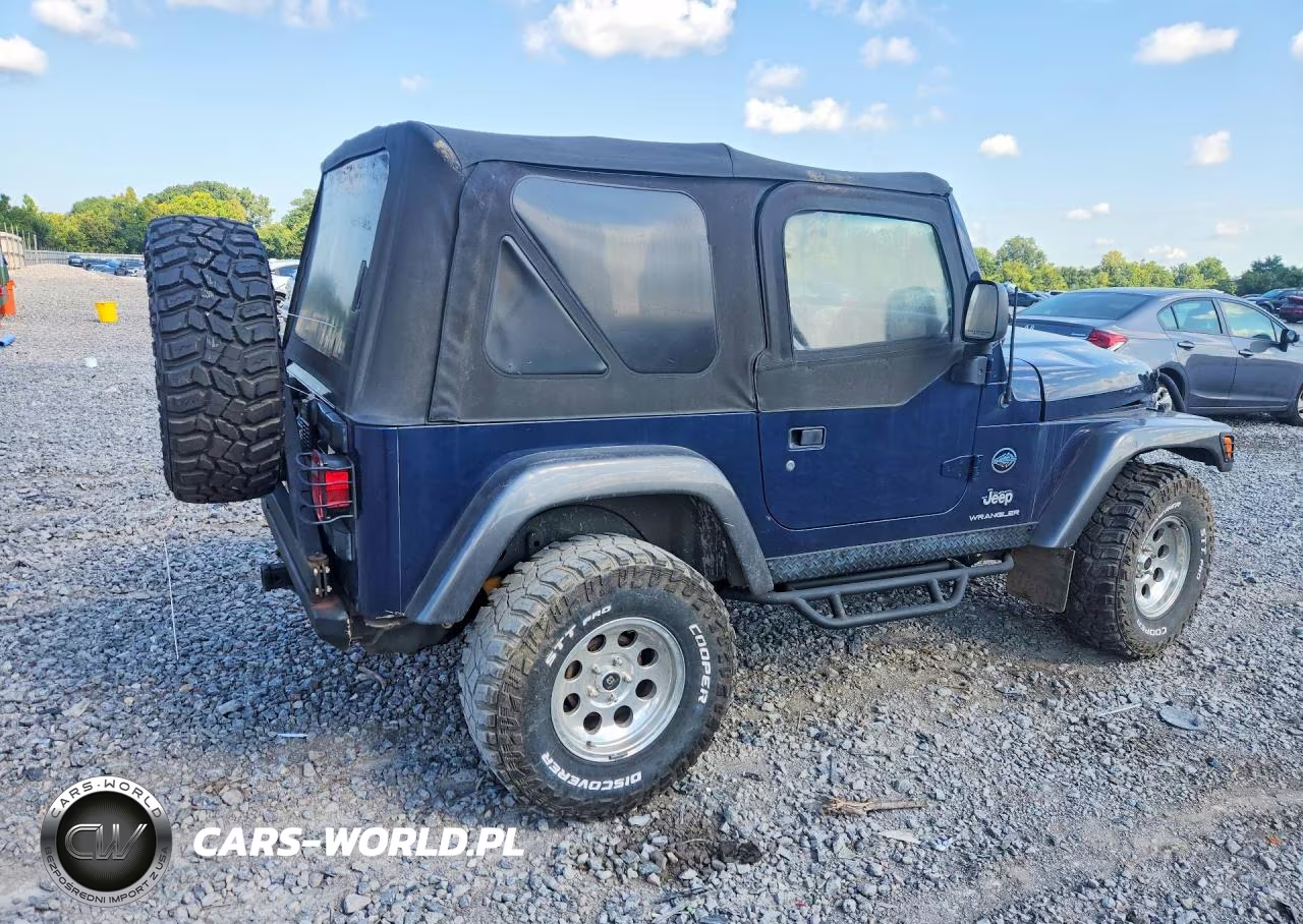 2004 Jeep Wrangler X VIN:1J4FA39S94P798017 - 3