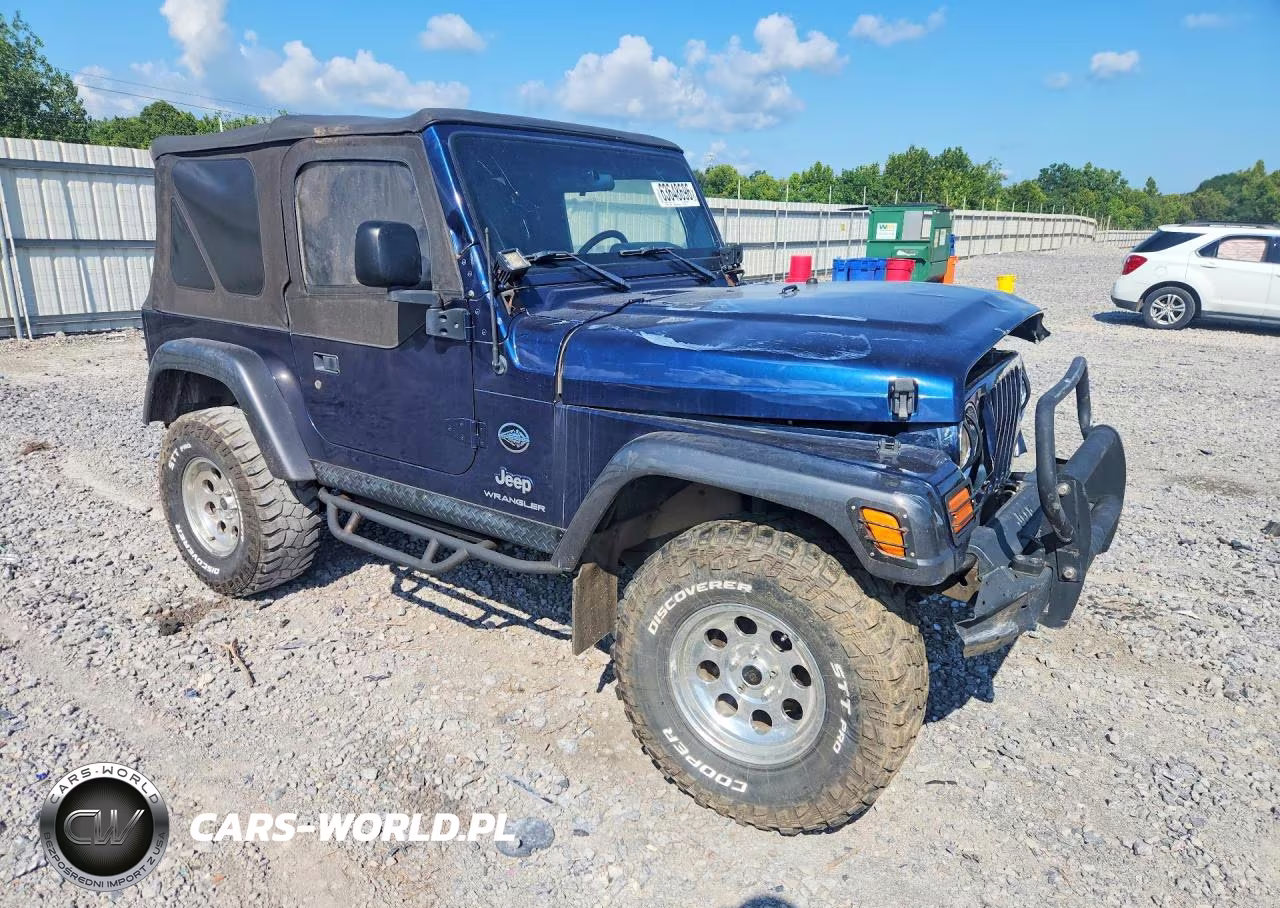 2004 Jeep Wrangler X VIN:1J4FA39S94P798017 - 4