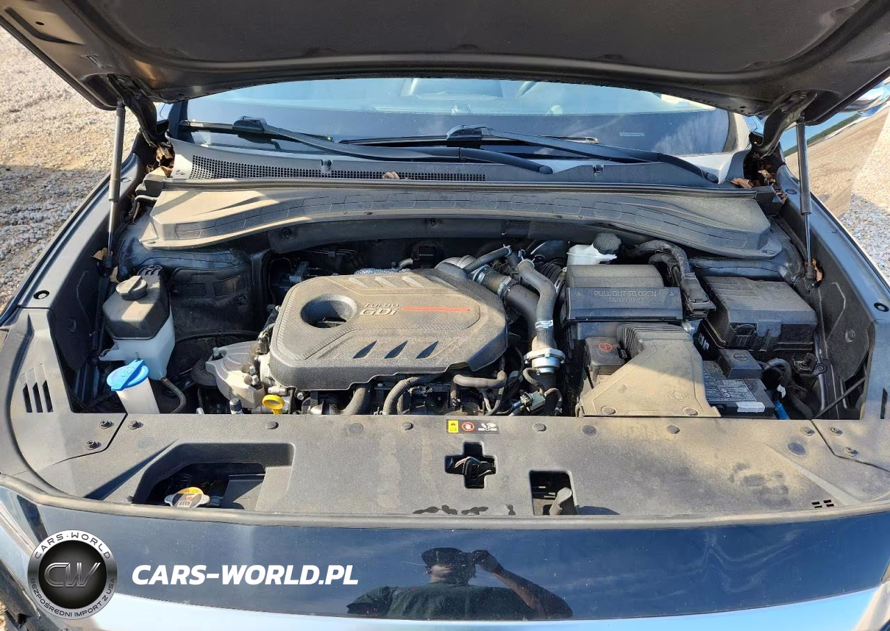 2020 Hyundai Santa Fe Sel 2.0T VIN:5NMS33AA6LH225343 - 12