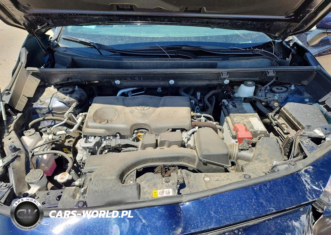 2025 Toyota Rav4 Xle VIN:2T3P1RFV1SW546792 - 11