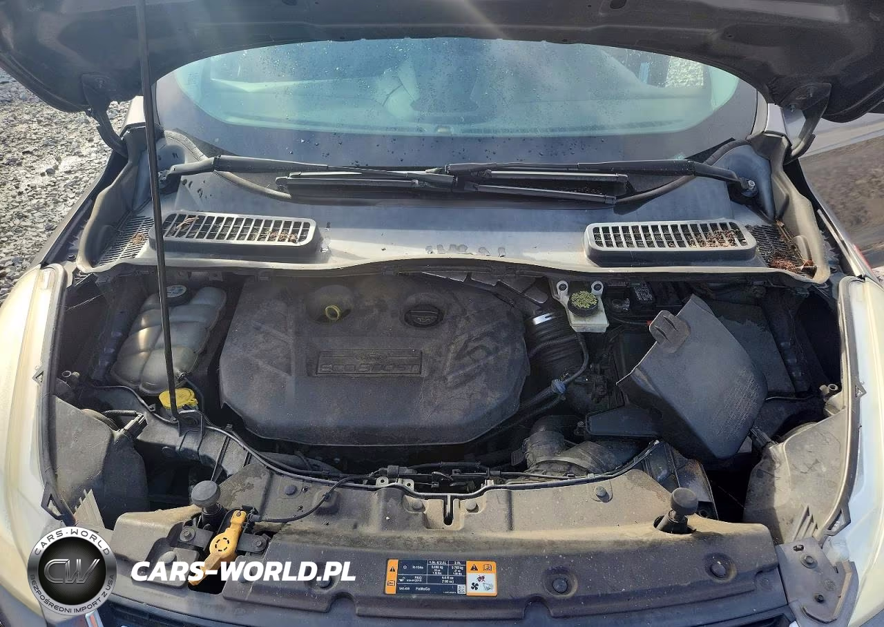 2013 Ford Escape Sel VIN:1FMCU0H92DUA73174 - 12