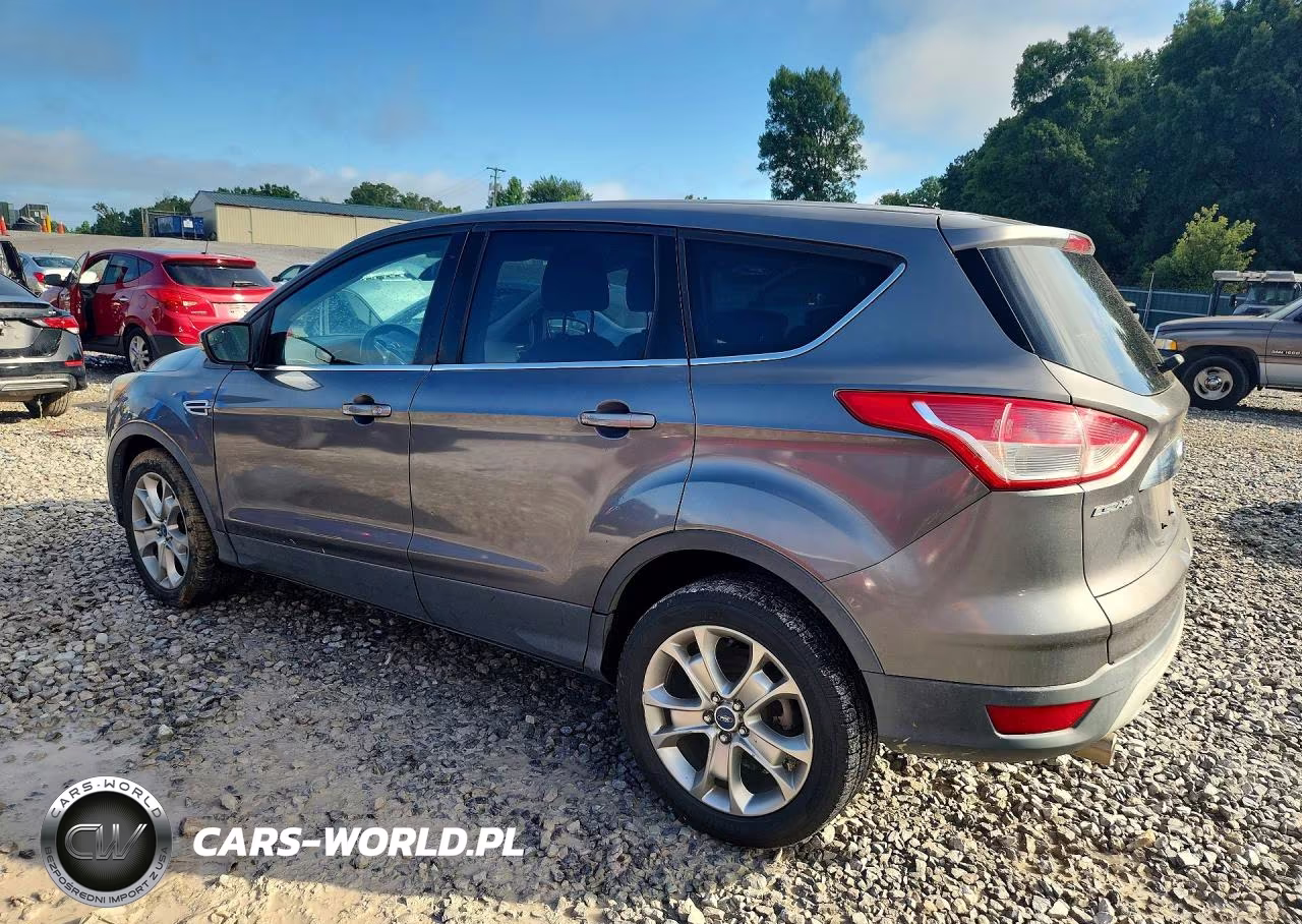 2013 Ford Escape Sel VIN:1FMCU0H92DUA73174 - 2