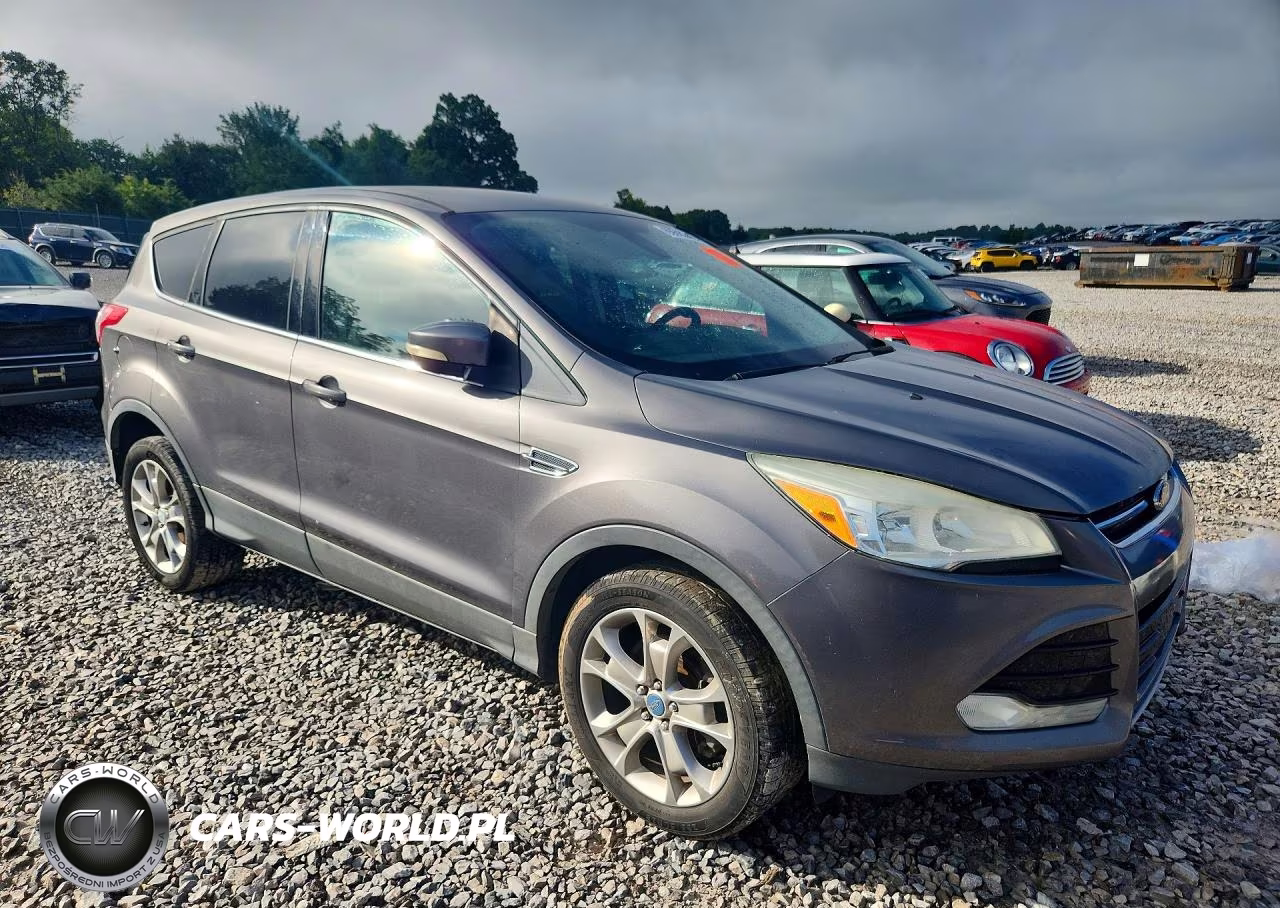 2013 Ford Escape Sel VIN:1FMCU0H92DUA73174 - 4