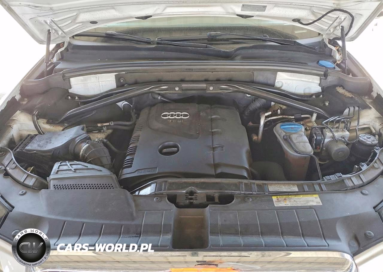 2011 Audi Q5 Premium Plus VIN:WA1LFAFP0BA065296 - 11