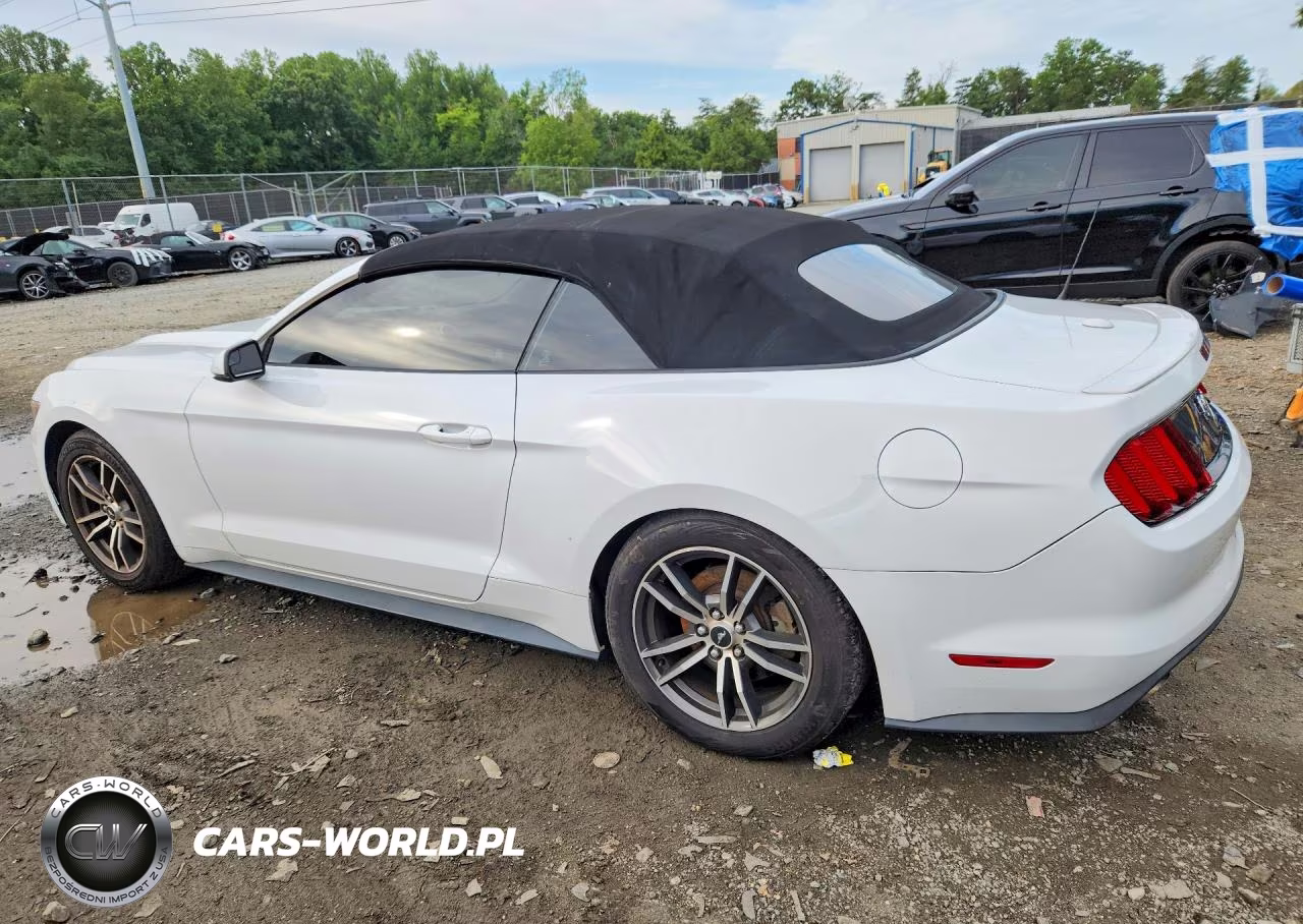 2017 Ford Mustang VIN:1FATP8UH9H5254477 - 2