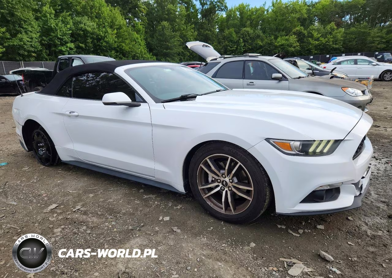 2017 Ford Mustang VIN:1FATP8UH9H5254477 - 4