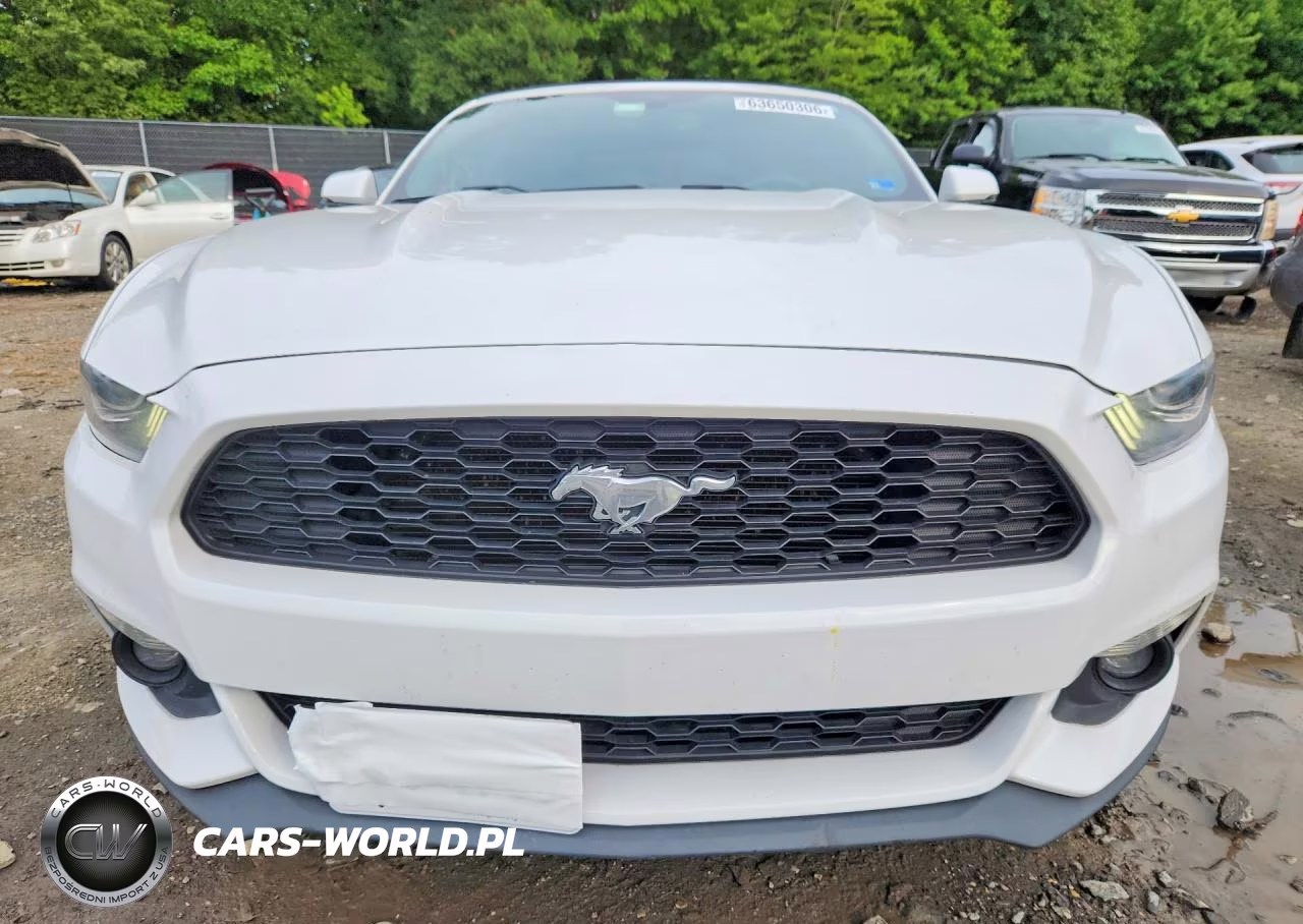 2017 Ford Mustang VIN:1FATP8UH9H5254477 - 5