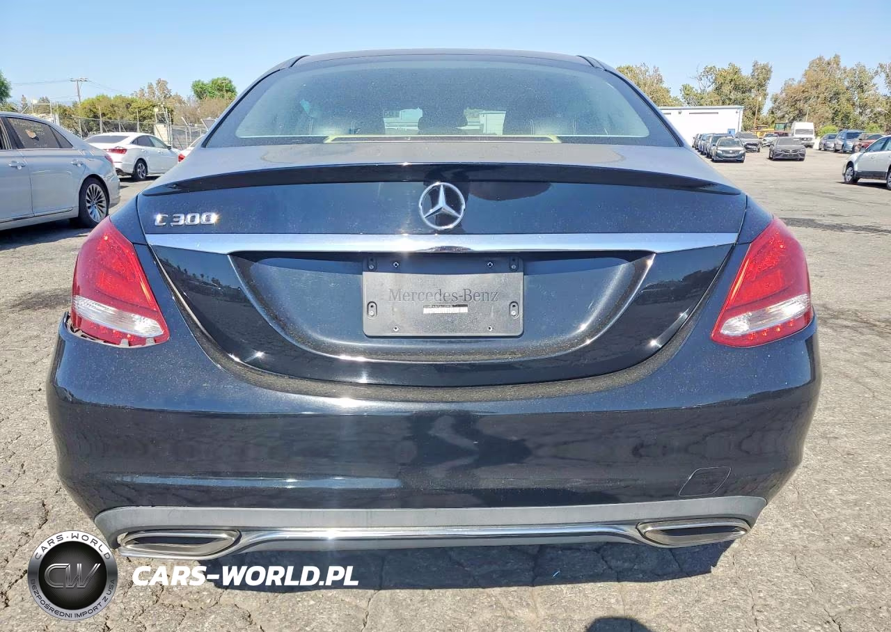 2016 Mercedes-Benz C 300 VIN:55SWF4JB7GU120436 - 6